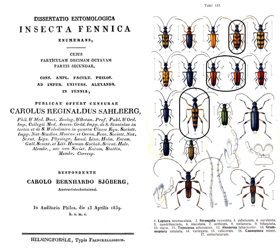 Sjöbergin väitöskirjan 1839 kansilehti ja kovakuoriastaulu 3 lajia ympyröitynä